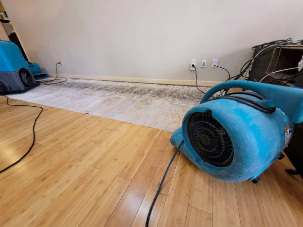 Professional Structural Drying technician working in Saratoga, WY